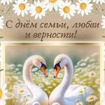 Фотодокумент 1
